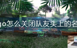 csgo怎么关闭队友头上的名字