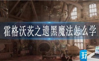 霍格沃茨之遗黑魔法怎么学
