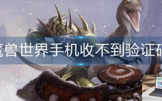 魔兽世界手机收不到验证码怎么办