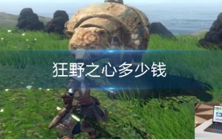 狂野之心多少钱