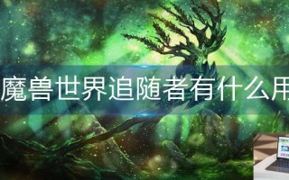 魔兽世界追随者有什么用