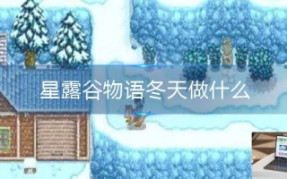 星露谷物语冬天做什么