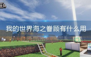 我的世界海之眷顾有什么用