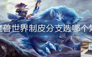 魔兽世界制皮分支选哪个好