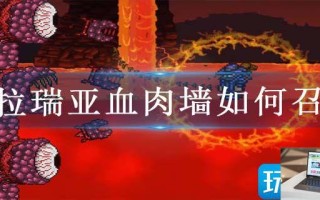 泰拉瑞亚血肉墙如何召唤