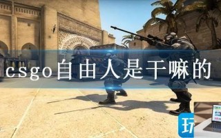 csgo自由人是干嘛的