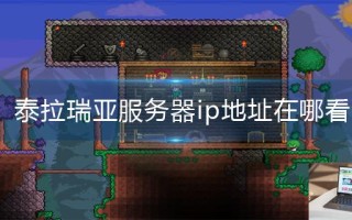 泰拉瑞亚服务器ip地址在哪看 泰拉瑞亚服务器ip地址在哪看