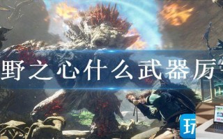 狂野之心什么武器厉害