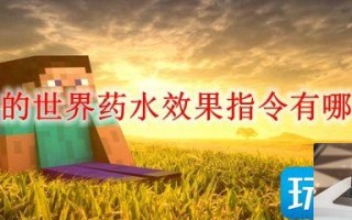 我的世界药水效果指令是什么