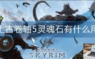 上古卷轴5灵魂石有什么用 上古卷轴5灵魂石有什么用