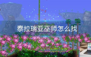 泰拉瑞亚巫师怎么找 泰拉瑞亚巫师怎么找