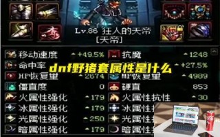 dnf野猪套属性是什么