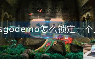 csgodemo怎么锁定一个人