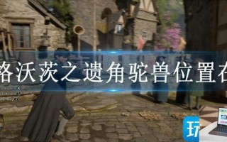 霍格沃茨之遗角驼兽位置在哪
