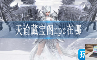 天谕藏宝阁npc在哪 天谕藏宝阁npc在哪