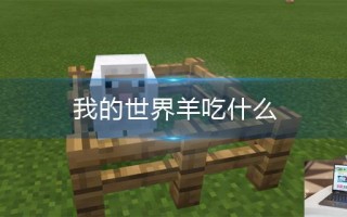 我的世界羊吃什么 我的世界羊吃什么