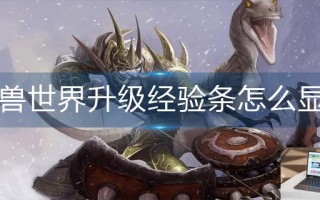 魔兽世界升级经验条怎么显示