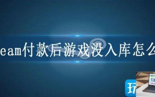 steam付款后游戏没入库怎么办