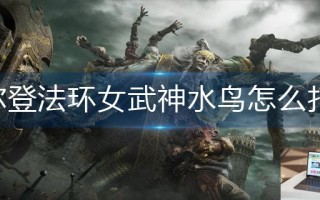 艾尔登法环女武神水鸟怎么打断 艾尔登法环女武神水鸟怎么打断