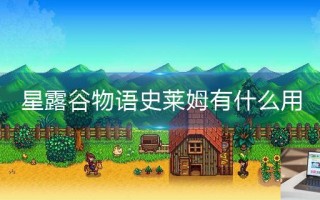 星露谷物语史莱姆有什么用 星露谷物语史莱姆有什么用