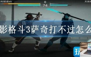 暗影格斗3萨奇打不过怎么办