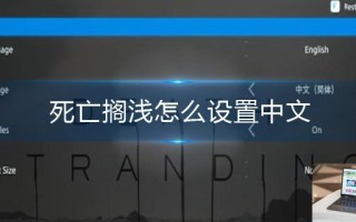 死亡搁浅怎么设置中文