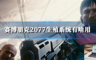 赛博朋克2077生殖系统有啥用