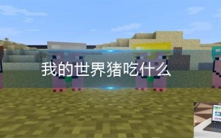 我的世界猪吃什么 我的世界猪吃什么