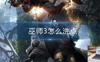 巫师3怎么洗点