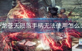 卧龙苍天陨落手柄无法使用怎么办