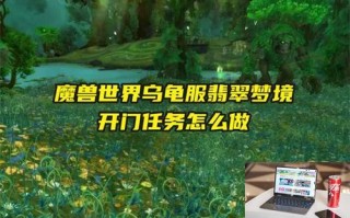 魔兽世界乌龟服翡翠梦境开门任务怎么做