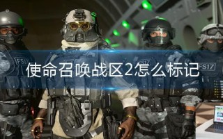 使命召唤战区2怎么标记