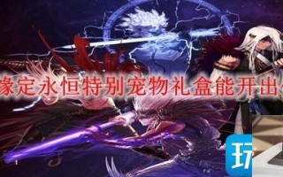 DNF缘定永恒特别宠物礼盒有什么