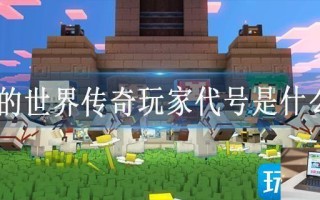 我的世界传奇玩家代号是什么