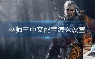 巫师三中文配音怎么设置