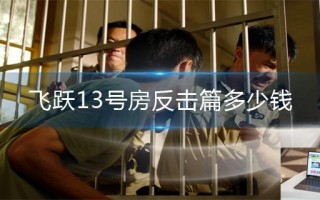 飞越13号房反击篇多少钱