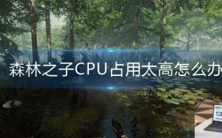 森林之子CPU占用太高怎么办