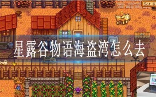 星露谷物语海盗湾在哪