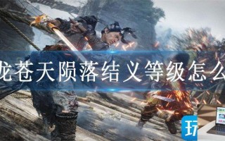 卧龙苍天陨落结义等级怎么升