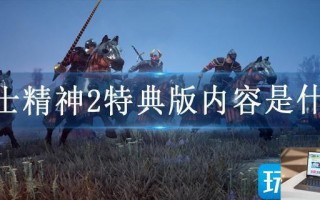骑士精神2特典版内容是什么