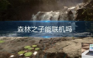 森林之子能联机吗