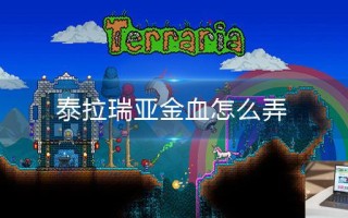 泰拉瑞亚金血怎么弄