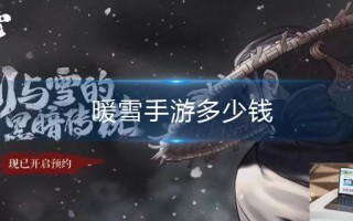暖雪手游多少钱