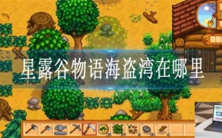 星露谷物语海盗湾在哪里
