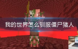 我的世界怎么驯服僵尸猪人