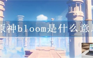 原神bloom是什么意思