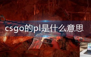 csgo的pl是什么意思