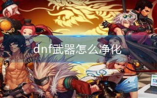 dnf武器怎么净化