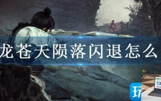 卧龙苍天陨落闪退怎么办