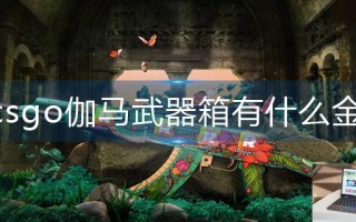 csgo伽马武器箱有什么金